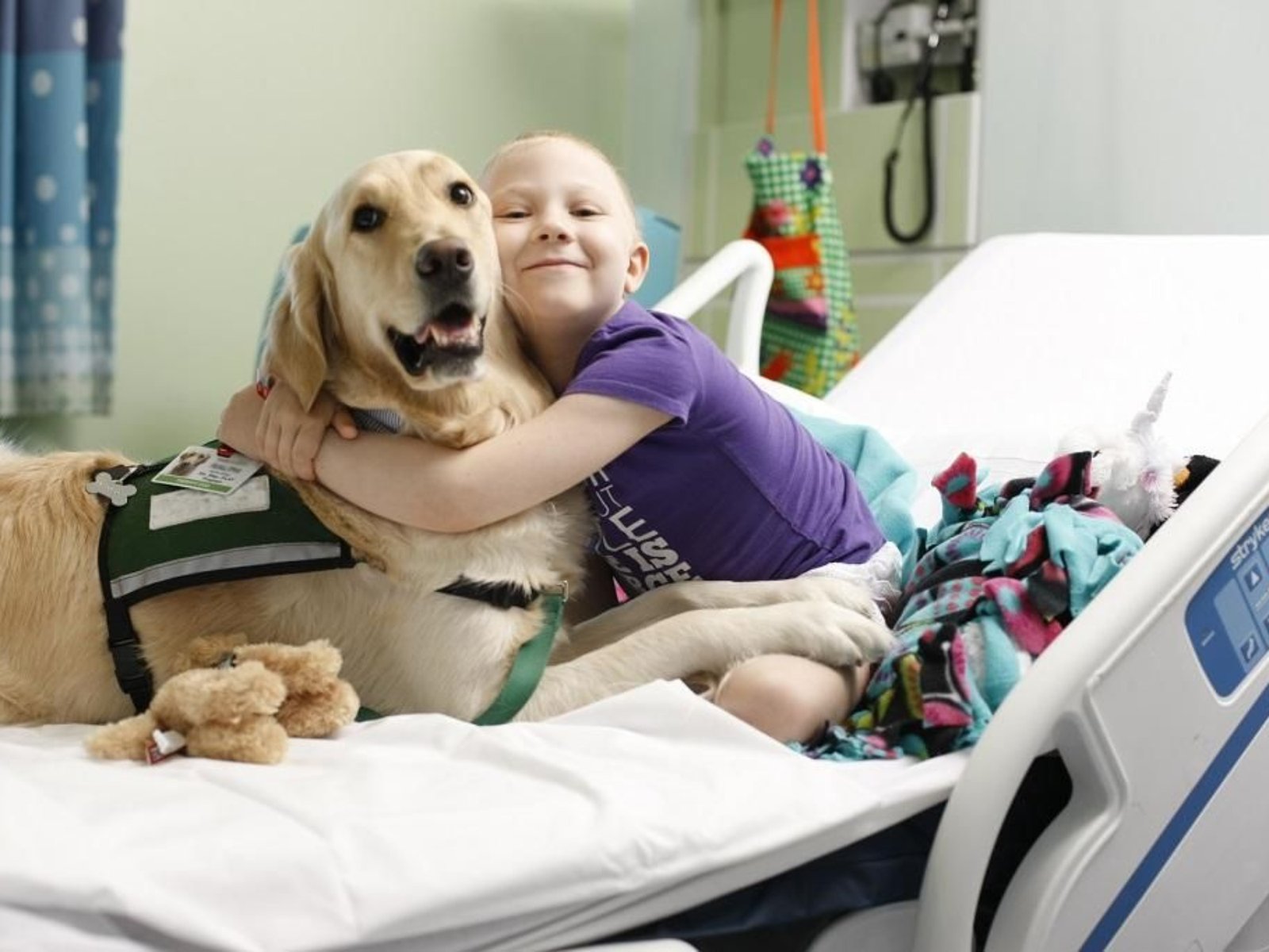 perros en hospitales