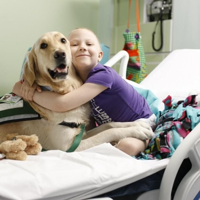 perros en hospitales