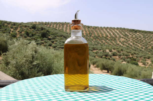aceite-oliva-fondo-aceitunas