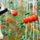 robots-agricola-3