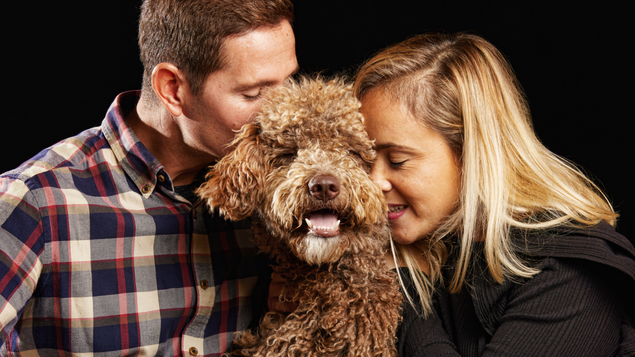 amor mascotas perros