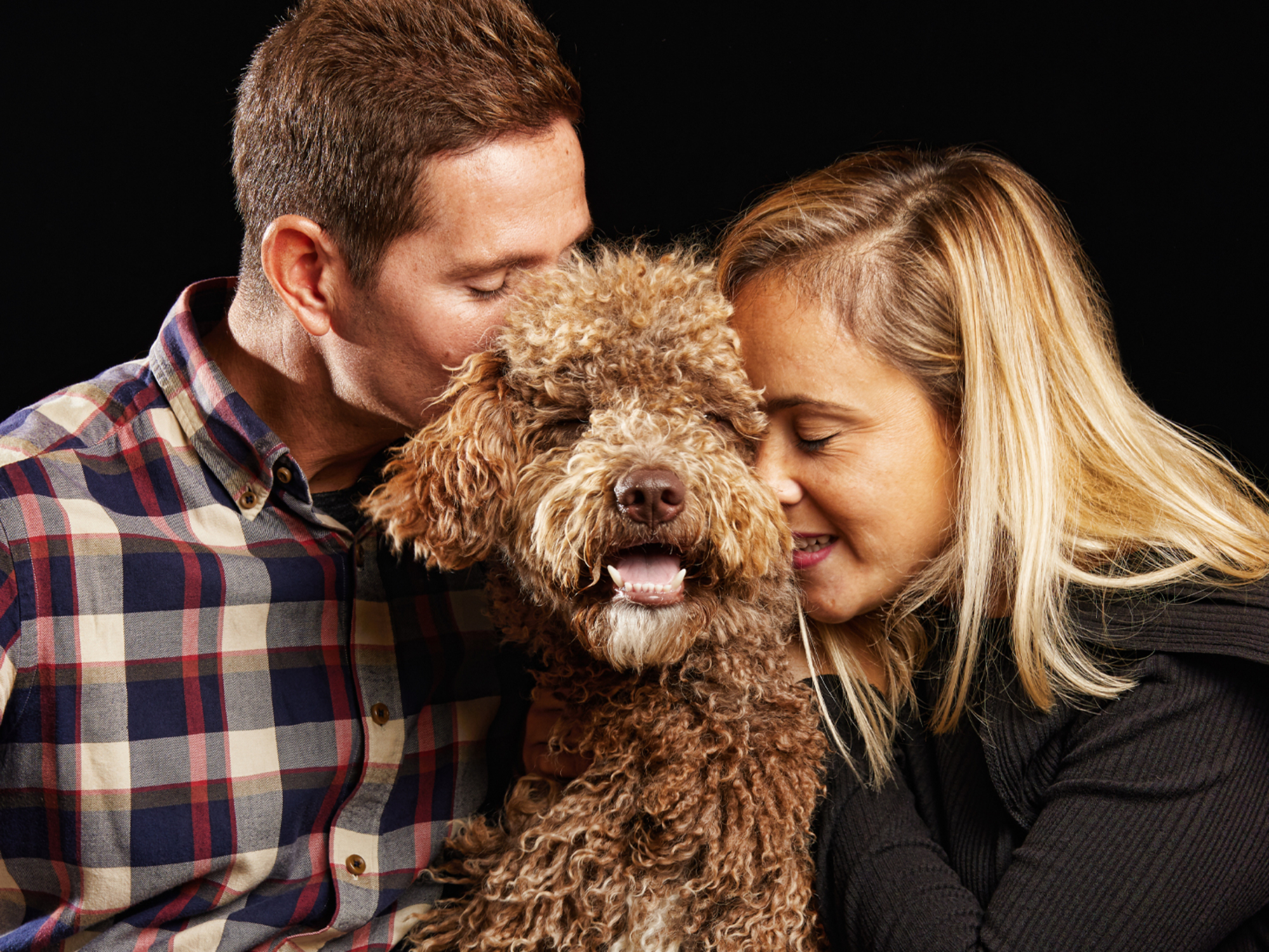 amor mascotas perros