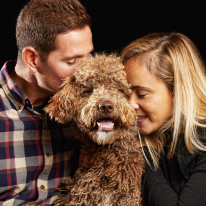 amor mascotas perros