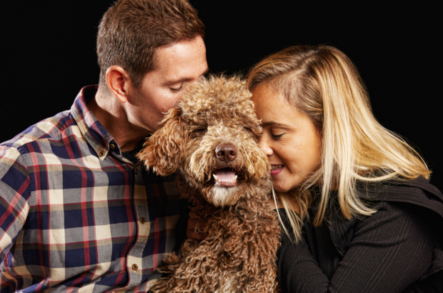 amor mascotas perros