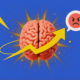 liberar cortisol