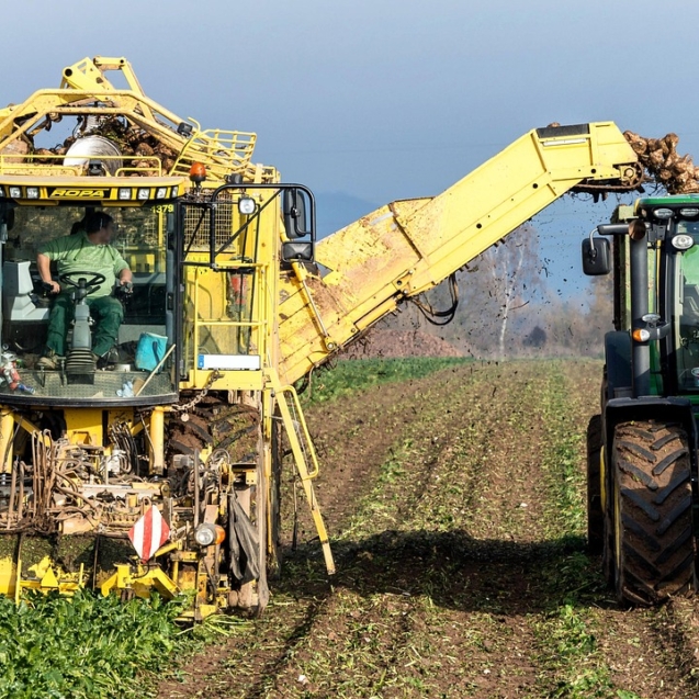 Sabores tradicionales que ayudan al planeta